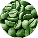 Chăm sóc cà phê tại nông trại